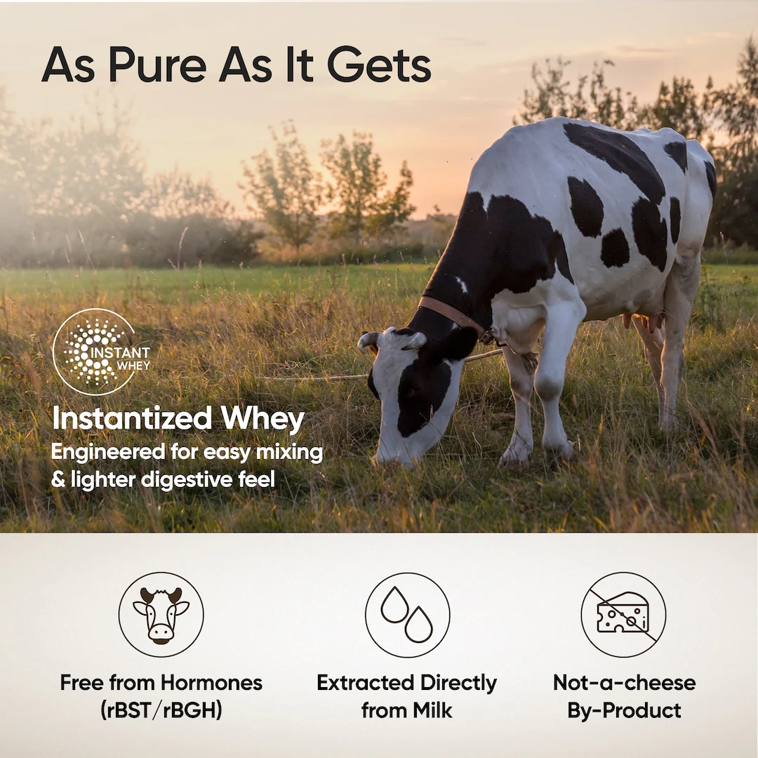 Whey Protein Isolate 26g | 1kg | 4B CFU Probiotics | Bourbon Vanilla - Image 5